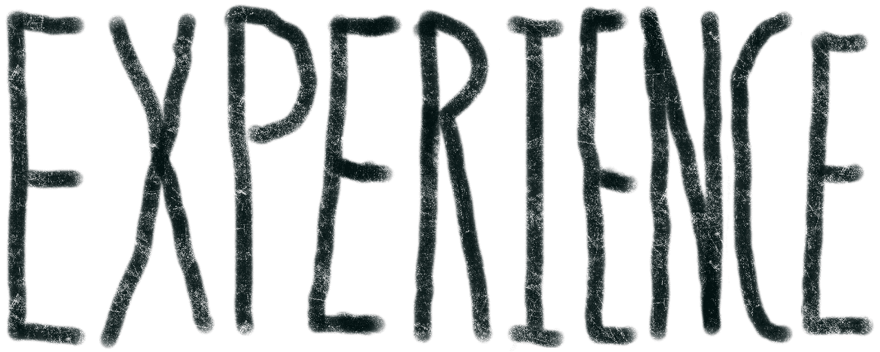 Experience